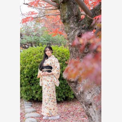 トニーデザインが撮影した「:albumName」の写真