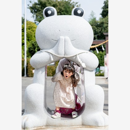 佐藤政彦が撮影したウェディングや家族、ビジネスの写真