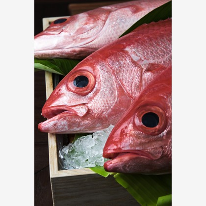 Top Gunが撮影した料理撮影の写真