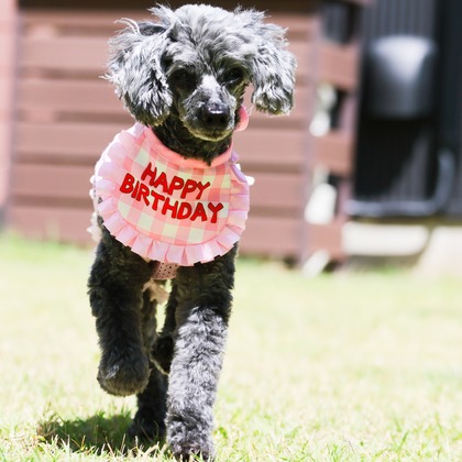 外川博己が撮影したその他の写真