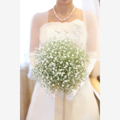 Photo of :albumName taken by SATOMI NAKAGAWA