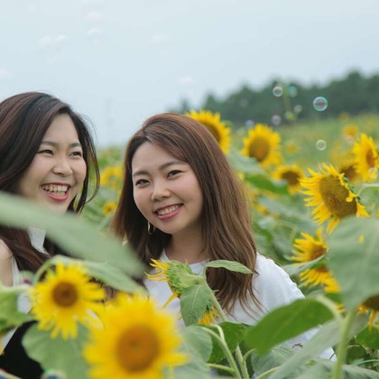 理 S PHOTOが撮影した「:albumName」の写真