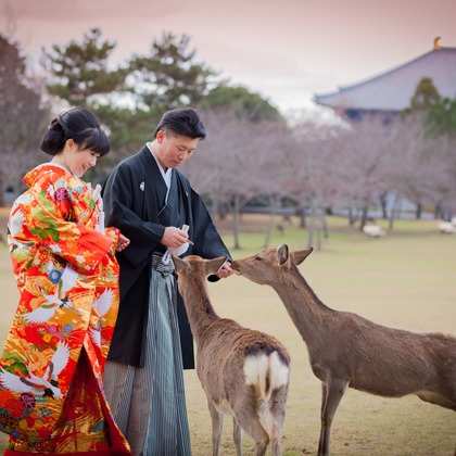きのさきフォトグラファーが撮影した「フォトギャラリー」の写真