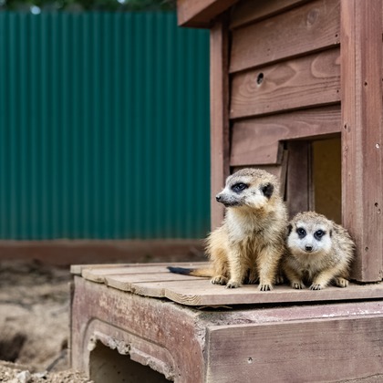 フォトスタジオ　ちっくたっくが撮影したその他の写真