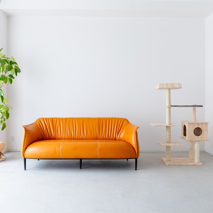 株式会社トリプルスタンダードが撮影した「:albumName」の写真