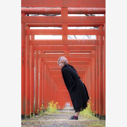 ならもとかずやが撮影した「:albumName」の写真