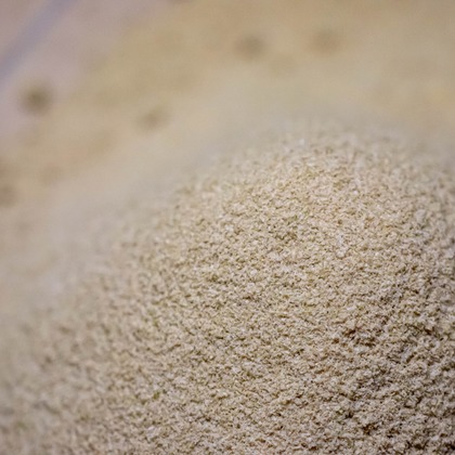 内藤駿介が撮影した「:albumName」の写真