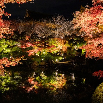 Create 4 Uが撮影した「:albumName」の写真