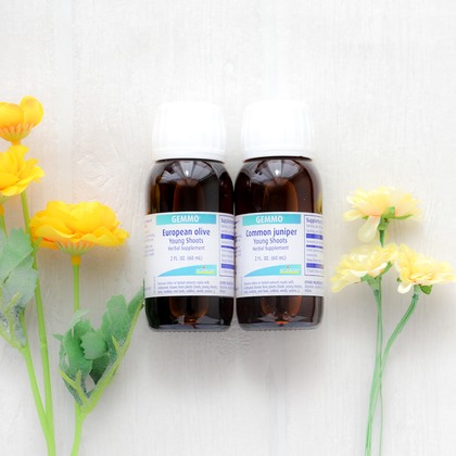 なかがわさとみが撮影した「:albumName」の写真