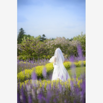 C.RELATIONSが撮影した「ゆにガーデン」の写真