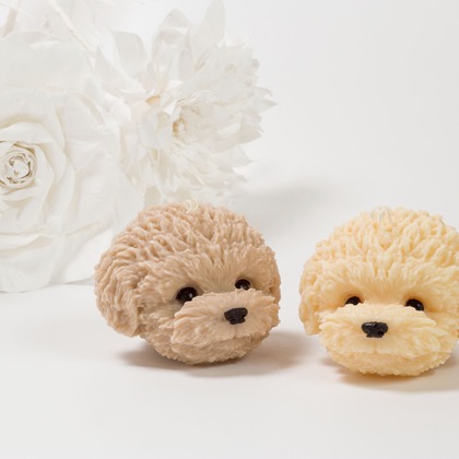 長谷部ナオキチが撮影した「:albumName」の写真