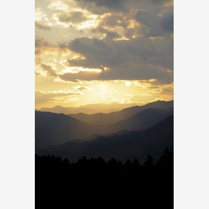 蛭子真写真事務所が撮影したウェディングや家族、ビジネスの写真