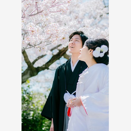 Tomi Photo Studioが撮影したウェディングや家族、ビジネスの写真