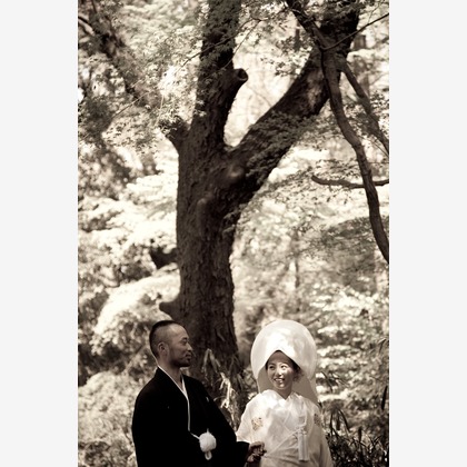 photo office zk (善家 完)が撮影した「:albumName」の写真