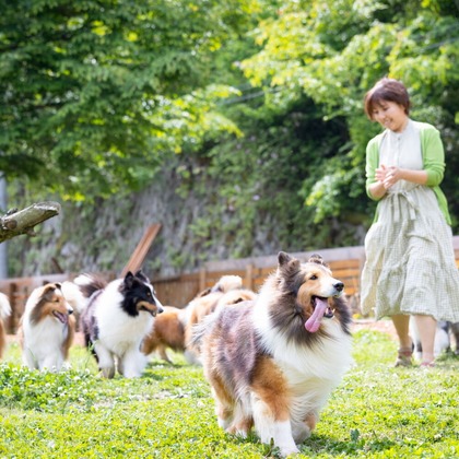 LUCE PHOTO WORKSが撮影したウェディングや家族、ビジネスの写真