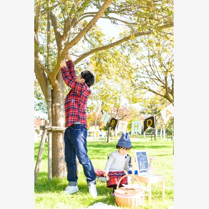 ライトハウスフォトが撮影したウェディングや家族、ビジネスの写真