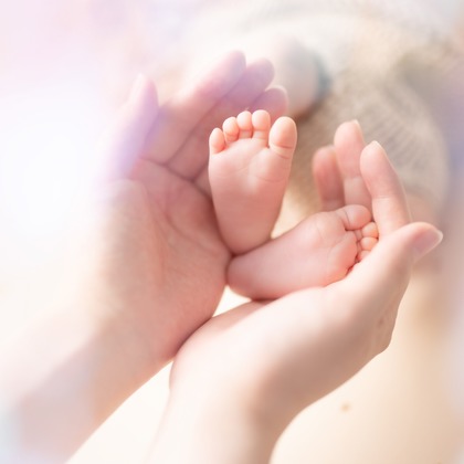 合同会社PHOTO FACTORY LARが撮影した「:albumName」の写真