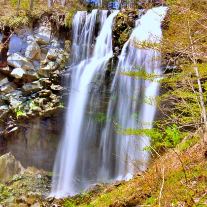 TNA(To the Next Age)が撮影した「:albumName」の写真