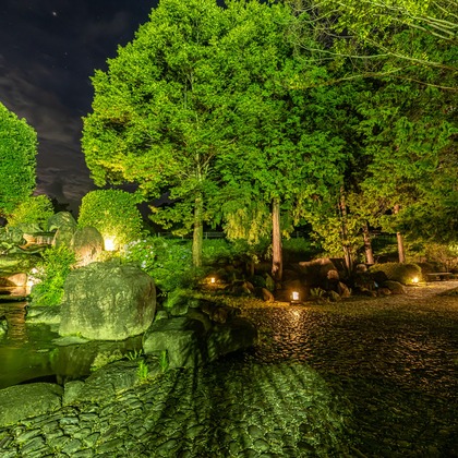 吉田佳央が撮影した「:albumName」の写真