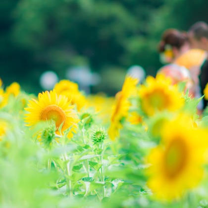 FYS photographyが撮影した「:albumName」の写真