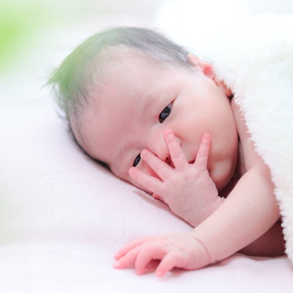 なかがわさとみが撮影した「:albumName」の写真