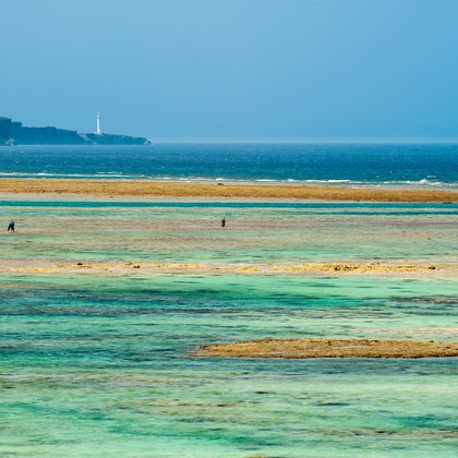 有光こうじ写真事務所が撮影した「:albumName」の写真