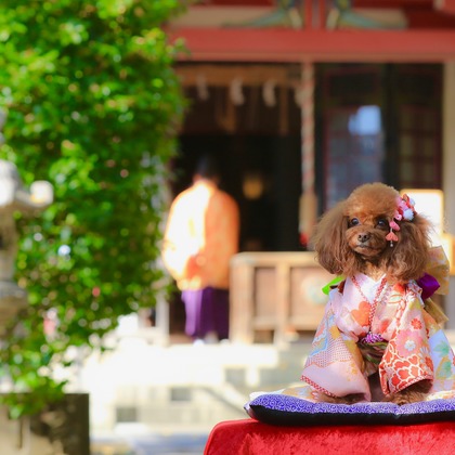 高橋 透（Coo&Sea STUDIO代表）が出張撮影した「七五三出張撮影＠東京」の家族写真