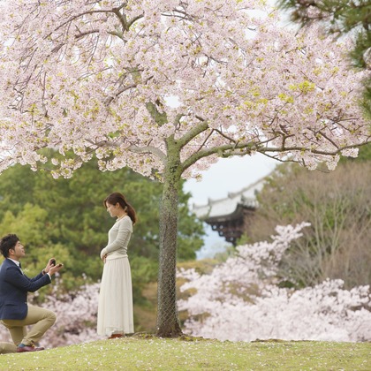 B WORKs PHOTOGRAPHY（丸山  隆史）が撮影した「:albumName」の写真