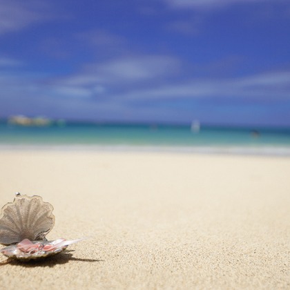 amp HAWAII WEDDING PHOTOGRAPHYが撮影した「:albumName」の写真