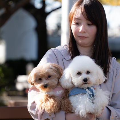 千葉が撮影した「:albumName」の写真