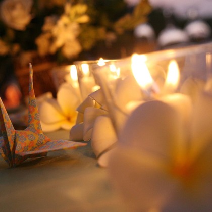 マニス ウェディングが撮影した「:albumName」の写真