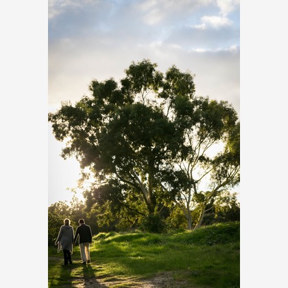 Wedding, Bridal Photos taken by Albert Teow