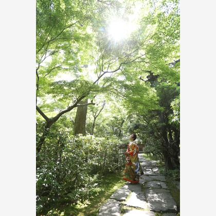 ウェディングアベニューが撮影した「名古屋城＆名城公園　名古屋市」の写真