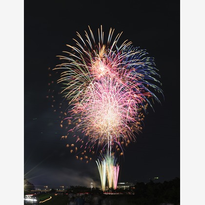 ワイヤリングが撮影した店舗/オフィス/サロン撮影/イベント/スナップ撮影/不動産/竣工の写真