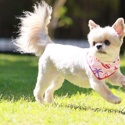 外川博己が撮影したその他の写真