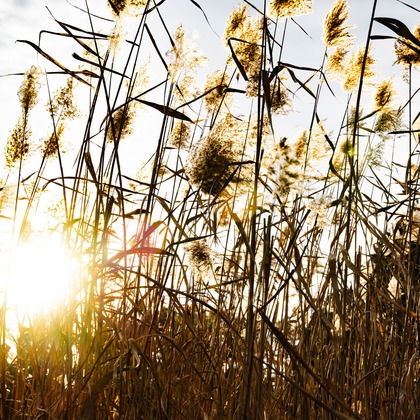 細田　恭平が撮影したその他の写真
