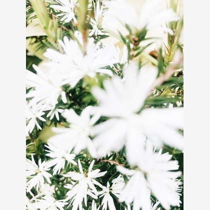 磯谷亮太が撮影したその他の写真