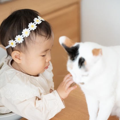 株式会社VISTA / VISTA Photographyが出張撮影した家族写真(キッズ,ベビーフォト)などが写った「ファミリーフォト」の家族写真