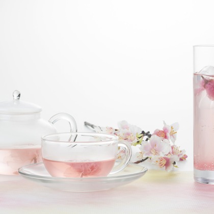 plusphotoが撮影した料理撮影の写真