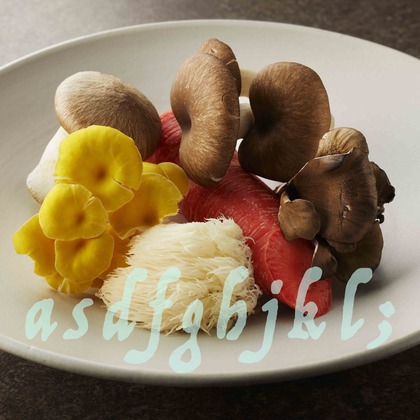 西原毅が撮影した「:albumName」の写真