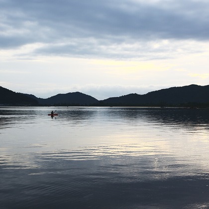 COAフォトが撮影したその他の写真