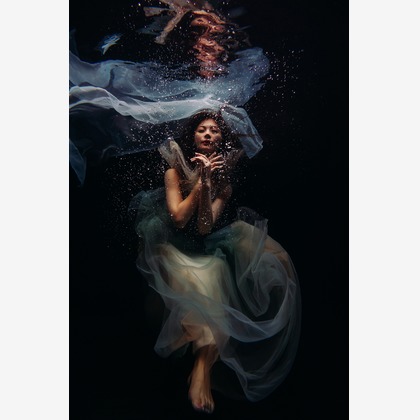 岩本隆之が撮影した「:albumName」の写真