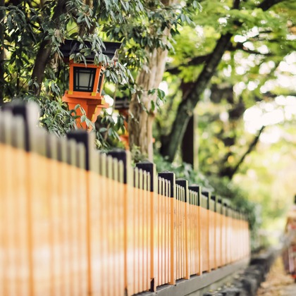 elle pupaが撮影したウェディングや家族、ビジネスの写真