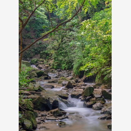 あなたの写真館が撮影した「風景写真など」の写真