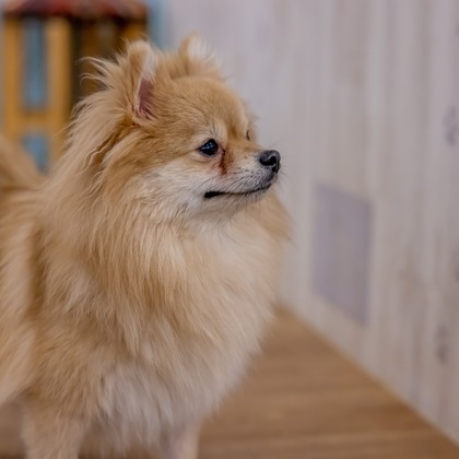 沖山俊樹が撮影した「:albumName」の写真