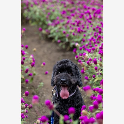 田中まさひろが撮影した「:albumName」の写真