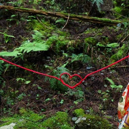 Photo of :albumName taken by Smilehunter