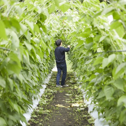 bluevalleyが撮影した料理撮影の写真