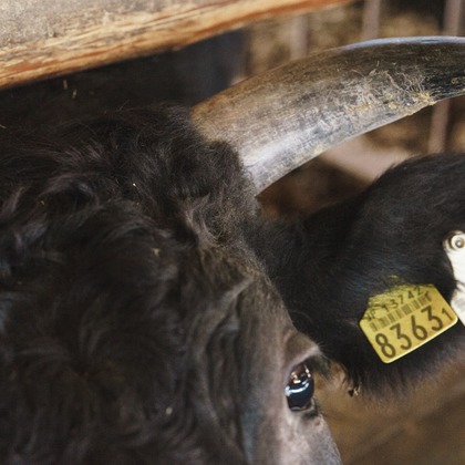 studio cactusが撮影した「:albumName」の写真