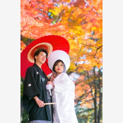 ピュアアーティス(小島 靖雄)が撮影したウェディングや家族、ビジネスの写真